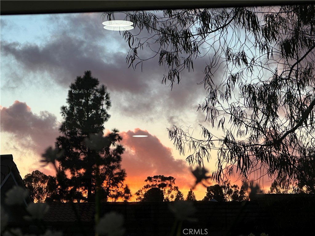 MLS #OC25268230 image #40