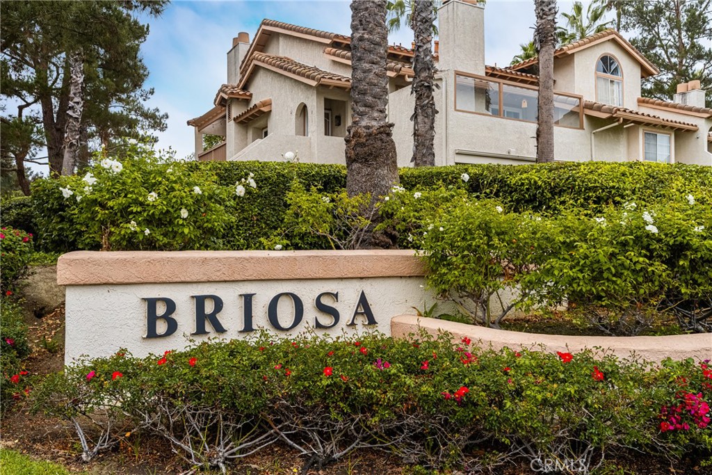 MLS #OC25268304 image #1