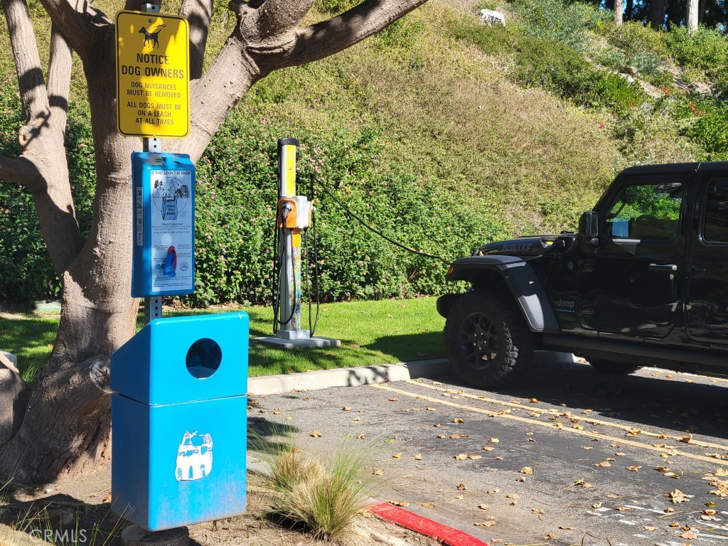 MLS #OC25268716 image #9