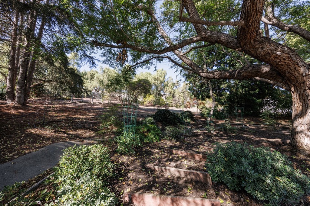 MLS #OC25269364 image #56