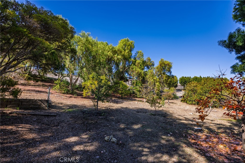 MLS #OC25269364 image #57