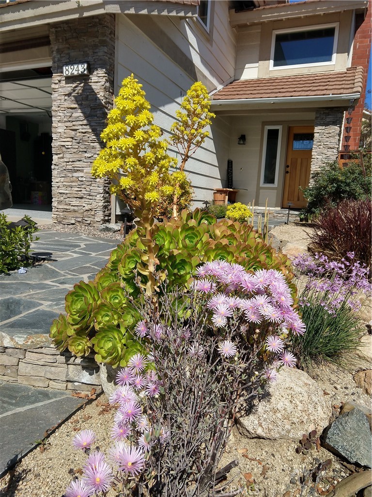 MLS #OC25269427 image #1