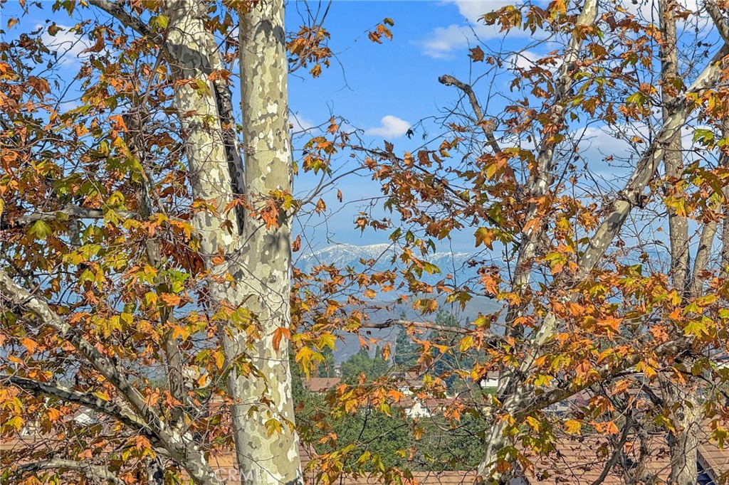 MLS #OC25269688 image #38