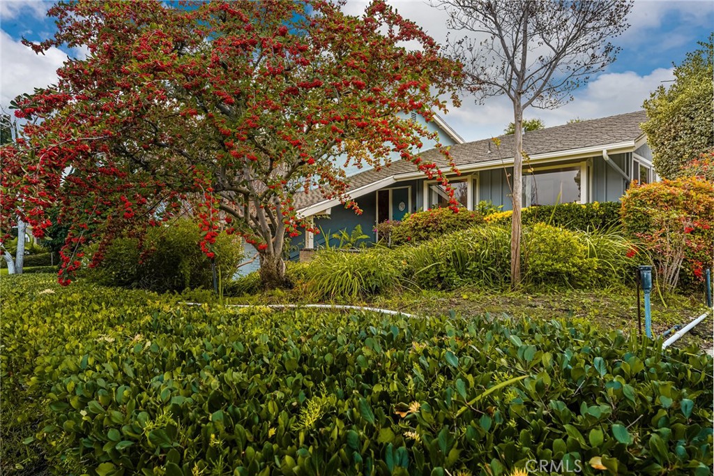 MLS #OC25269763 image #35