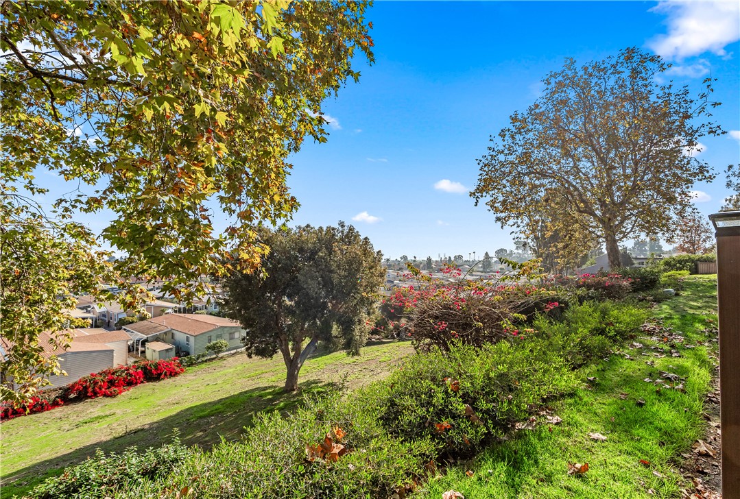 MLS #OC25270087 image #59