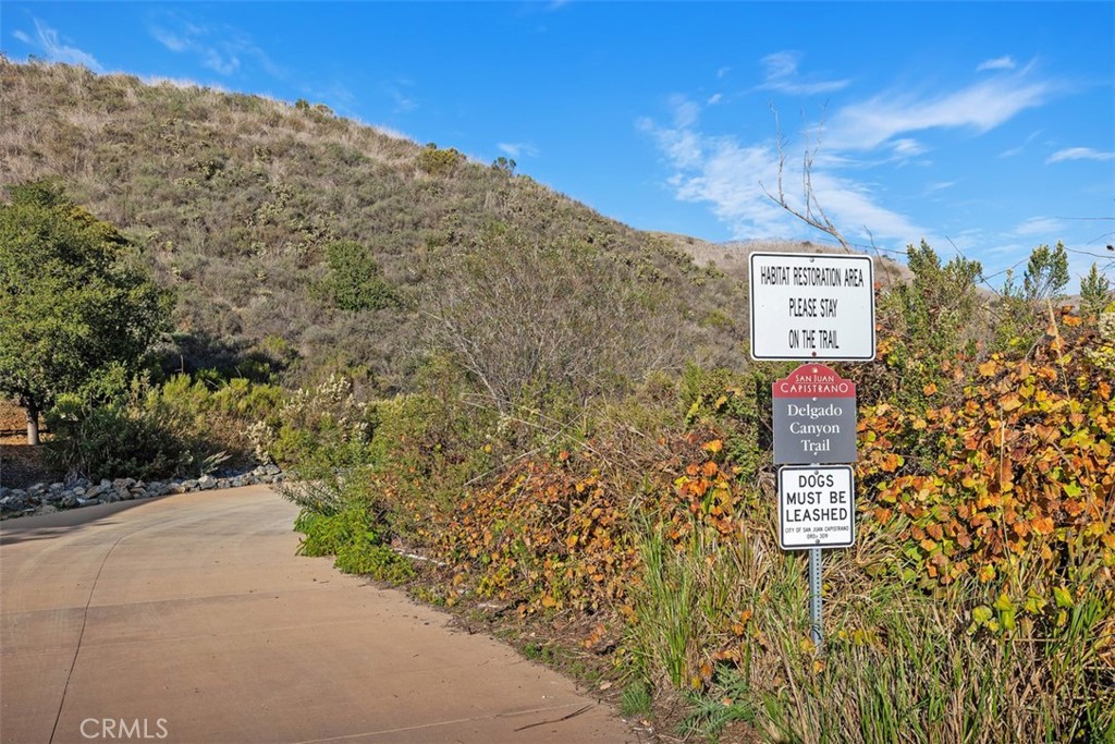 MLS #OC25270242 image #34