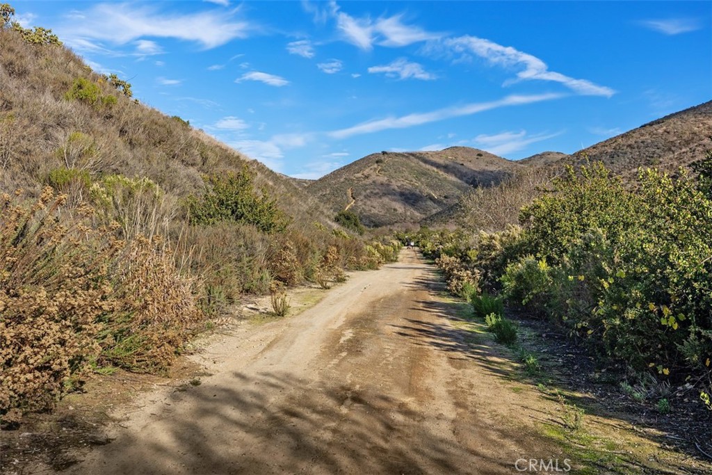 MLS #OC25270242 image #36