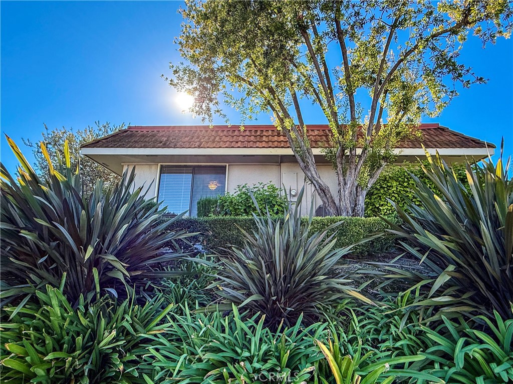 MLS #OC25270467 image #16