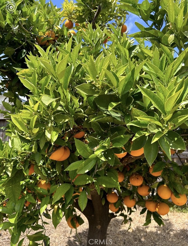 MLS #OC25270902 image #20