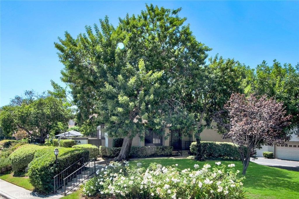 MLS #OC25271850 image #2