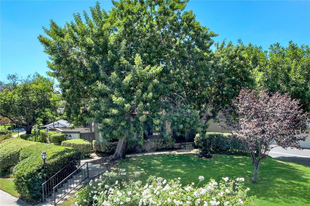 MLS #OC25271850 image #3