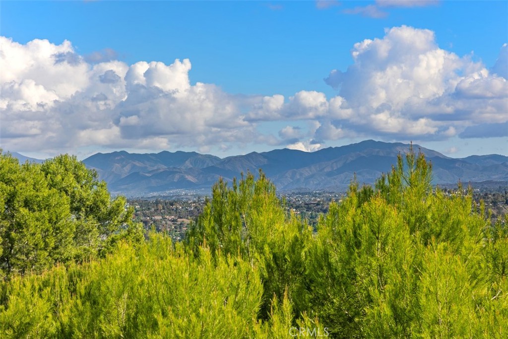 MLS #OC25271982 image #1