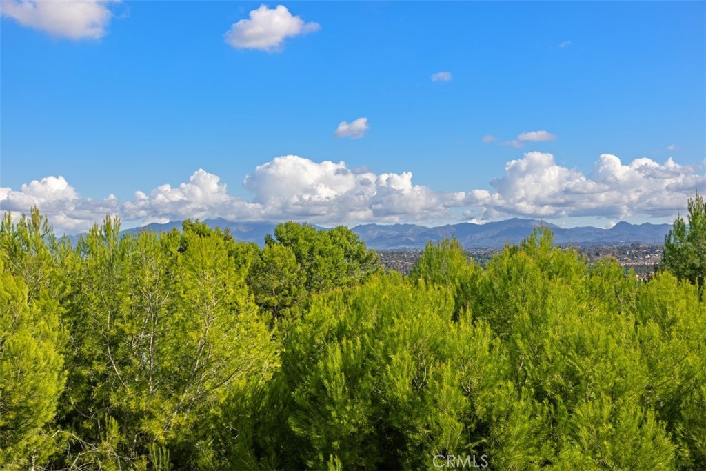 MLS #OC25271982 image #32