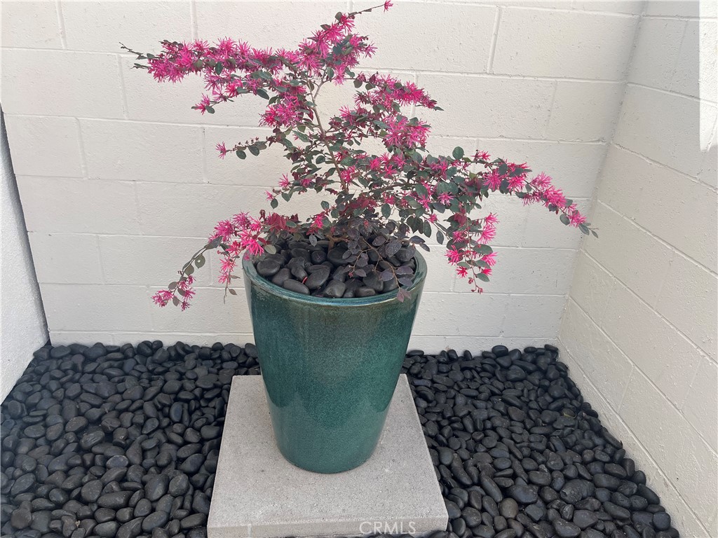 MLS #OC25272195 image #25