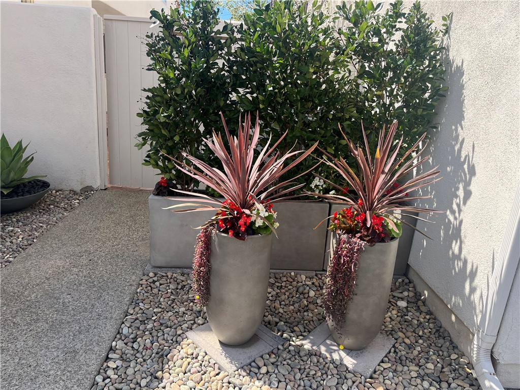 MLS #OC25272195 image #28