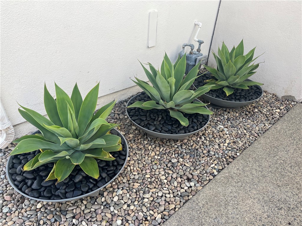 MLS #OC25272195 image #29