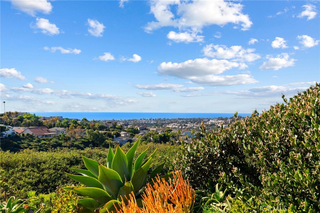 MLS #OC25273063 image #30