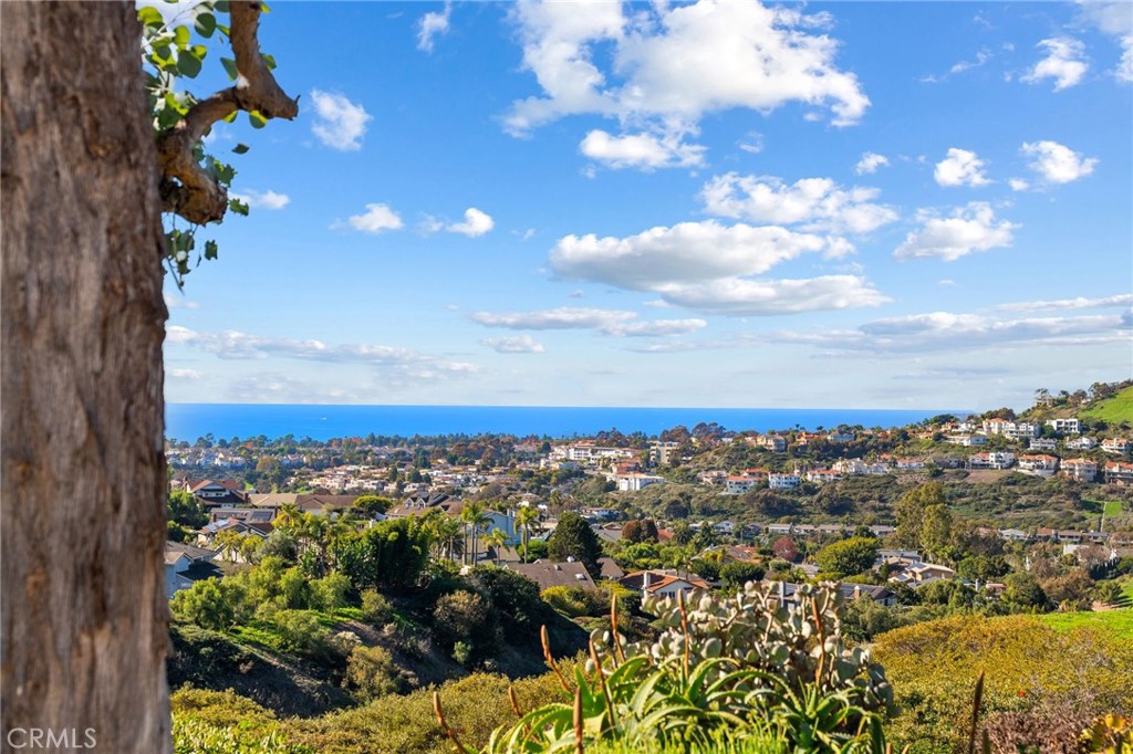 MLS #OC25273063 image #34