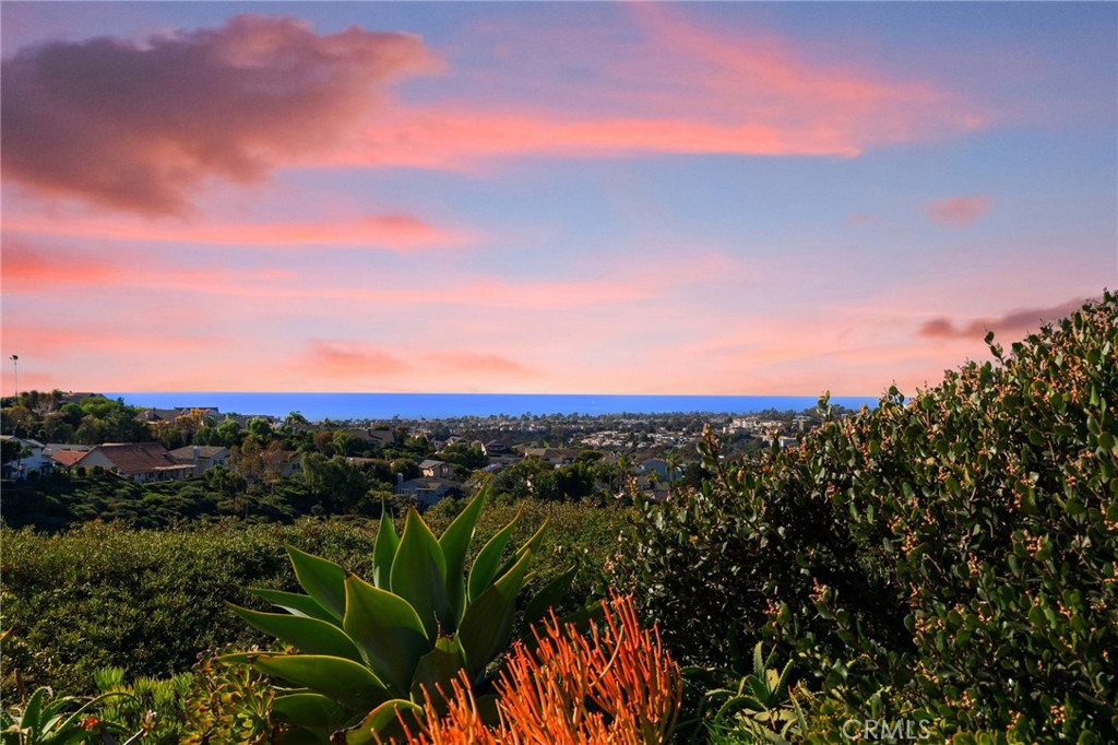 MLS #OC25273063 image #64