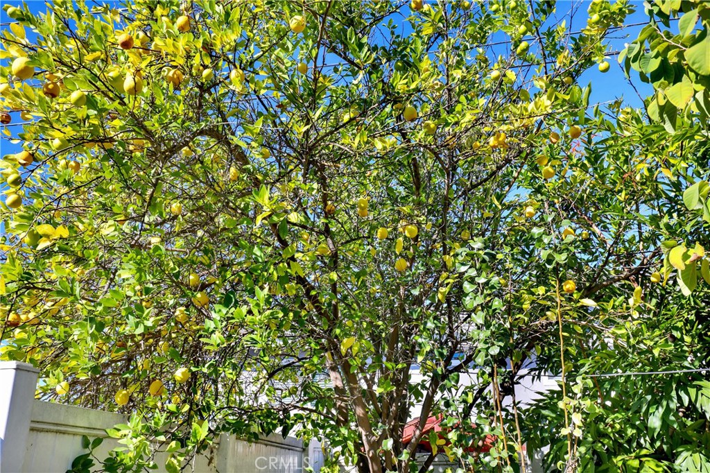 MLS #OC25273384 image #24