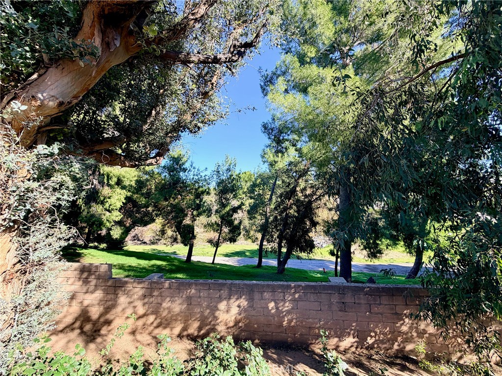 MLS #OC25273790 image #13