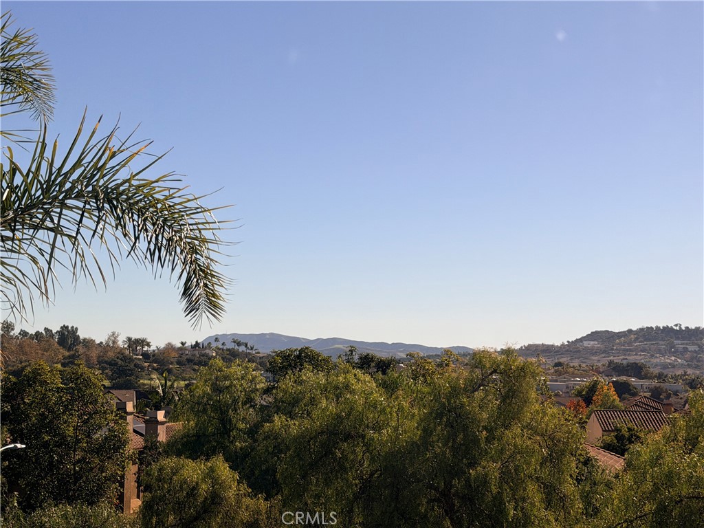 MLS #OC25274072 image #33