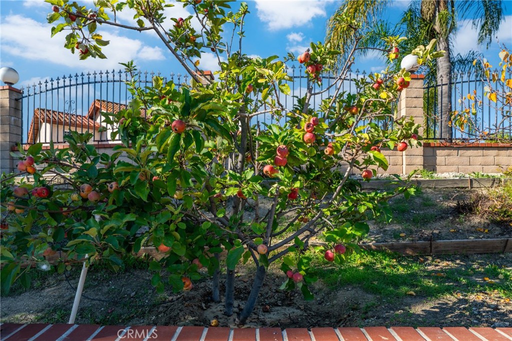 MLS #OC25274238 image #31