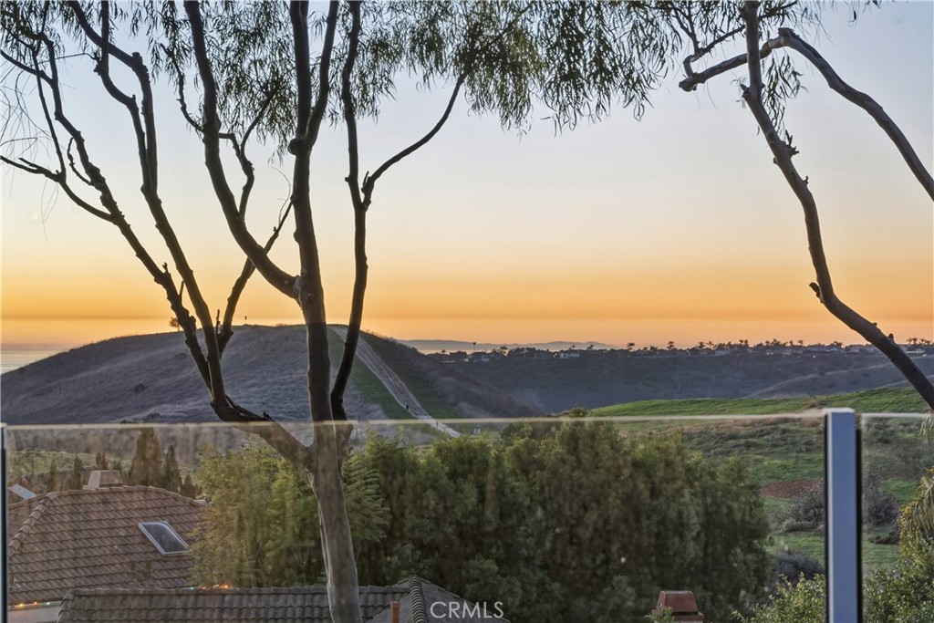 MLS #OC25274843 image #37