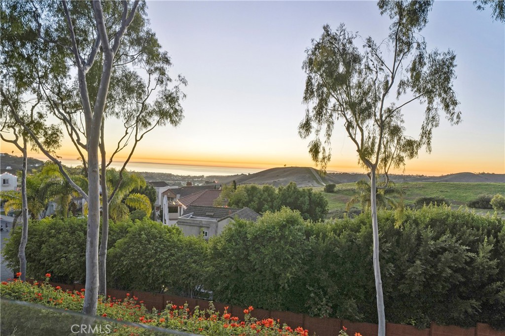 MLS #OC25274843 image #38