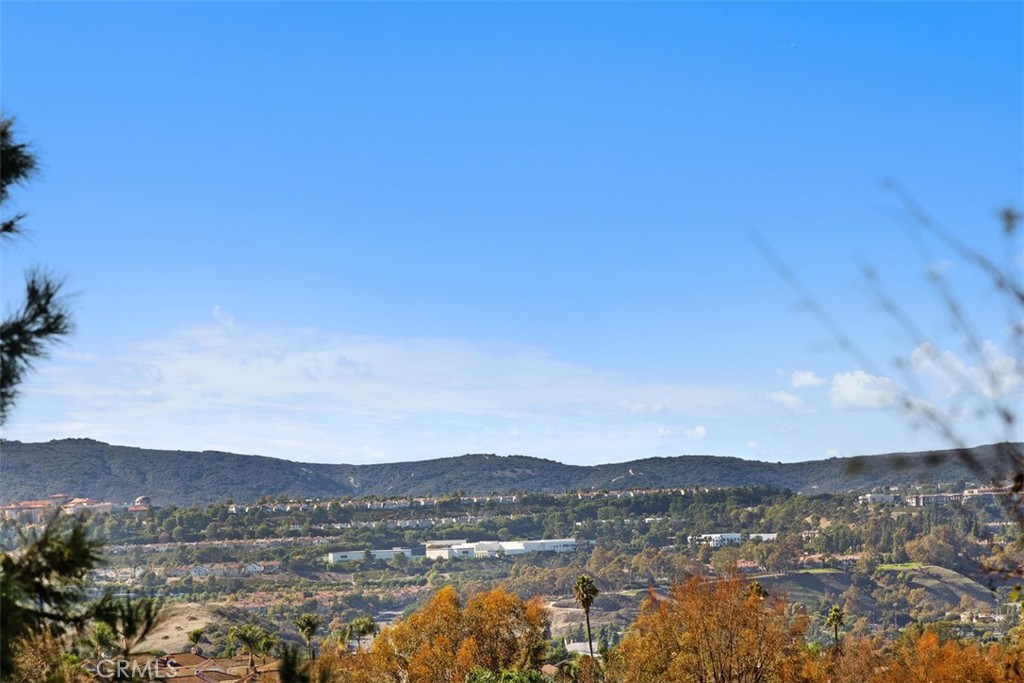 MLS #OC25275923 image #33