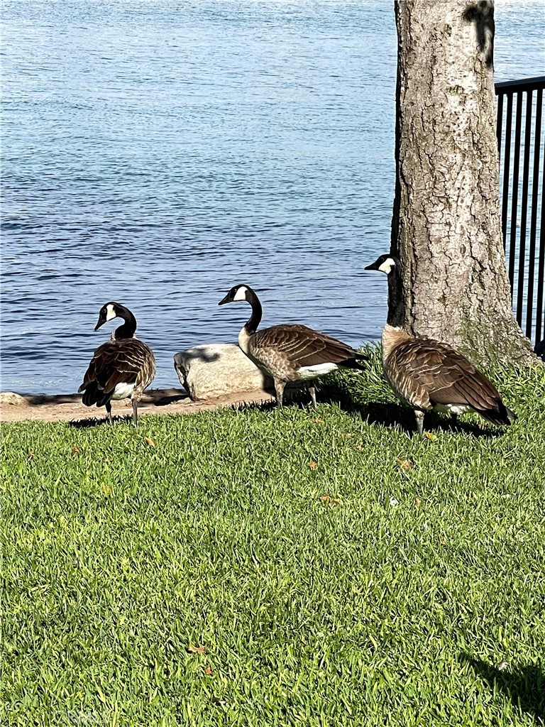 MLS #OC25280904 image #23