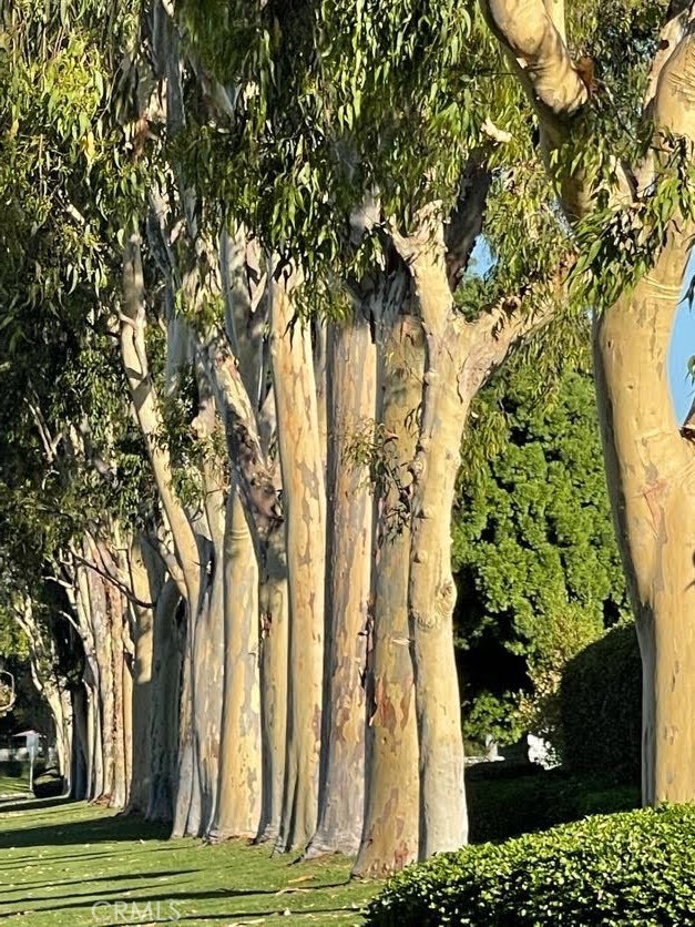 MLS #OC25280904 image #25