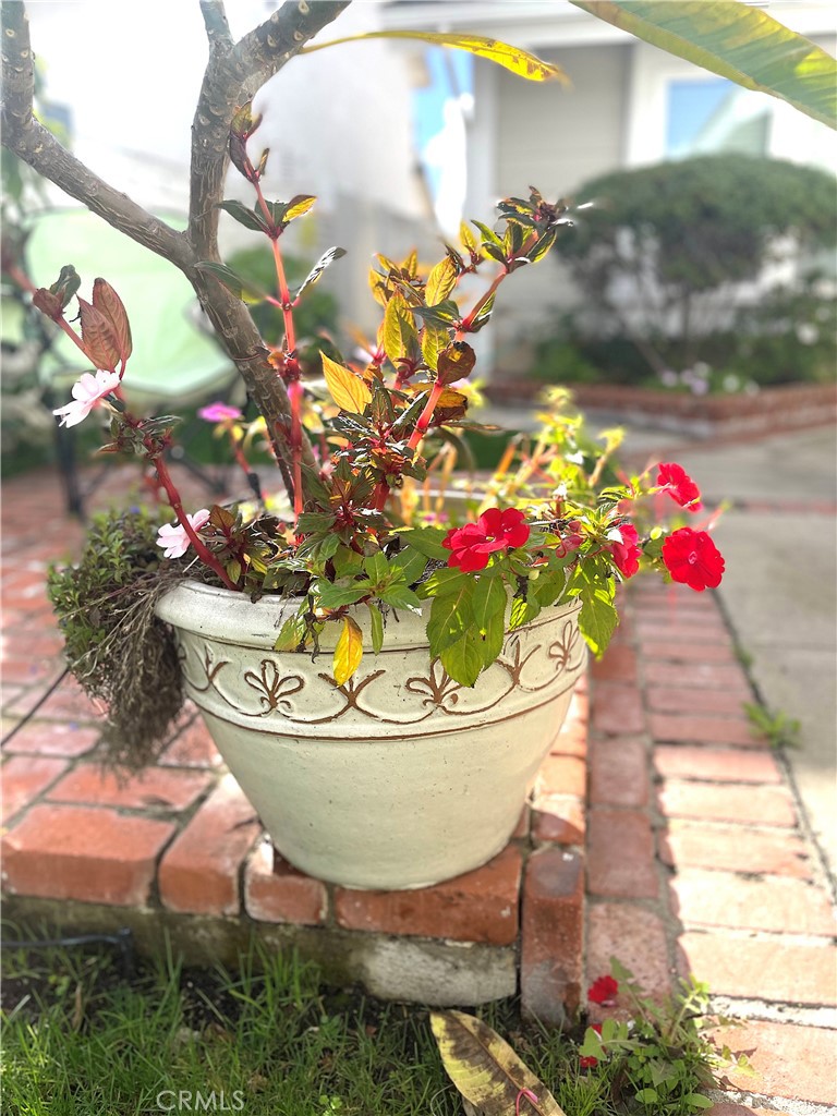 MLS #OC26004362 image #17