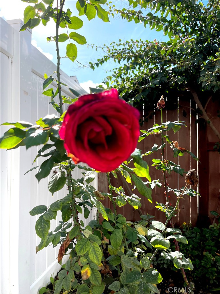 MLS #OC26004362 image #47