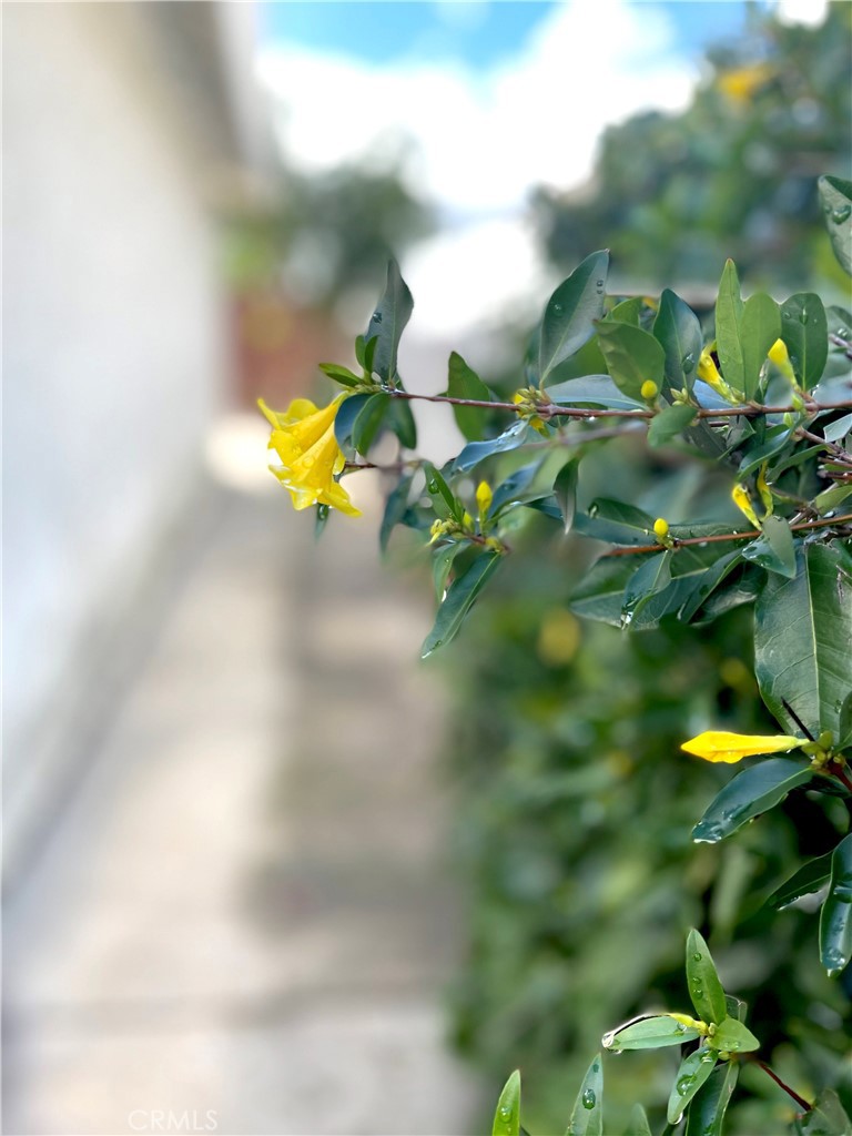 MLS #OC26004362 image #48