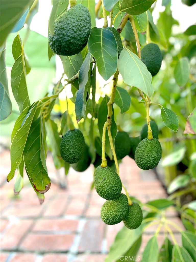 MLS #OC26004362 image #49