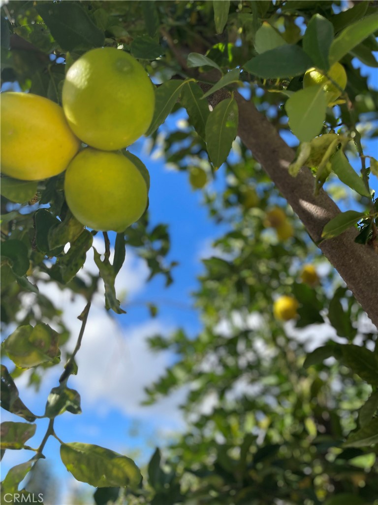 MLS #OC26004362 image #50