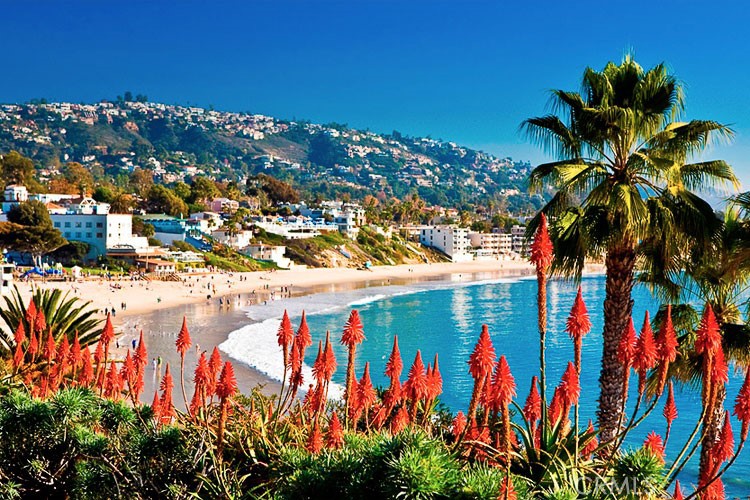 MLS #OC26004829 image #73