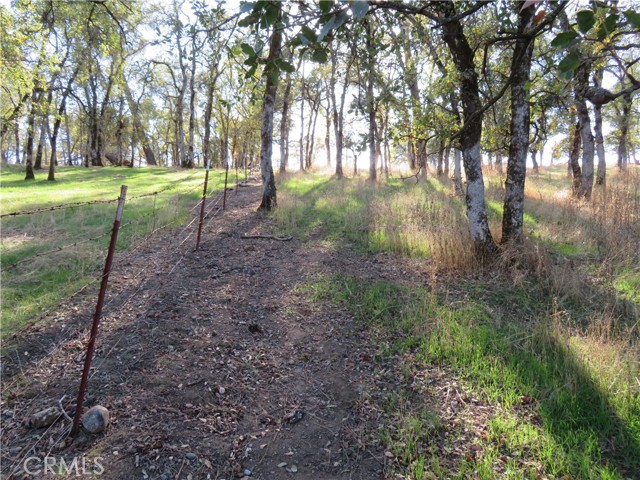 MLS #OR23208825 image #10