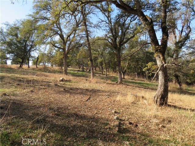 MLS #OR23208825 image #12