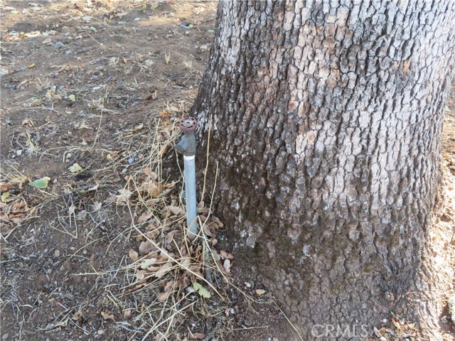 MLS #OR23208825 image #15