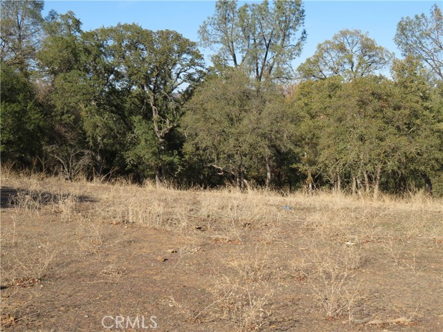 MLS #OR23208825 image #18