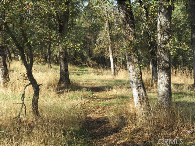 MLS #OR23208825 image #22