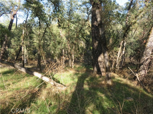 MLS #OR23208825 image #23