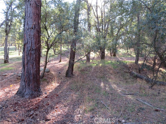 MLS #OR23208825 image #7