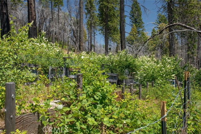 MLS #OR25107626 image #50