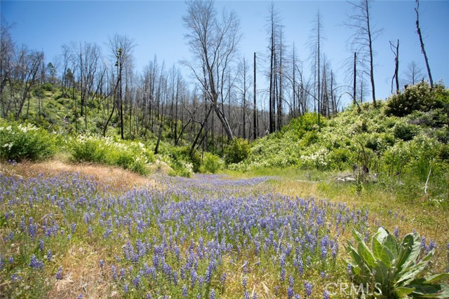 MLS #OR25107626 image #51