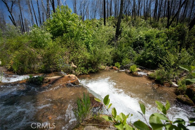 MLS #OR25107626 image #61