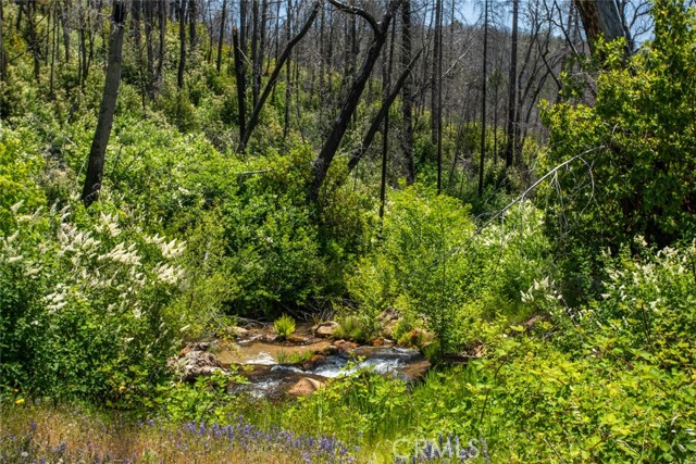 MLS #OR25107626 image #66