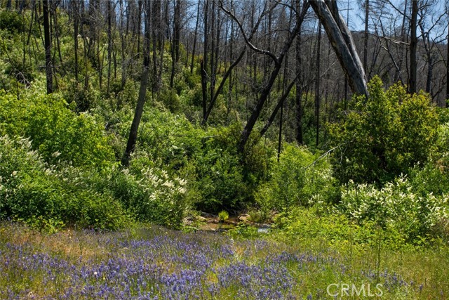 MLS #OR25107626 image #68